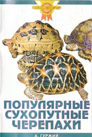 Популярные сухопутные черепахи фото книги
