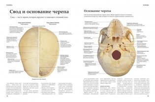 Анатомия человека фото книги 7