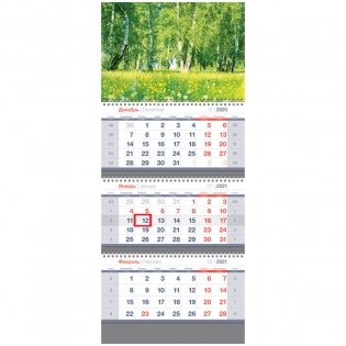 Календарь квартальный на 2021 год "Standard. Родные просторы", 3 блока фото книги