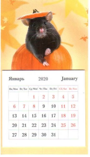 Календарь на 2020 год "Крыска" (КР33-20010) фото книги