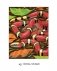 Mystery Coloring Wild Animals фото книги маленькое 10