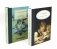 Педагогическая поэма; Как воспитать настоящего человека (комплект из 2-х книг) фото книги маленькое 2