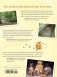 Natural World of Winnie-the-Pooh фото книги маленькое 3
