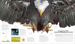 Explanatorium of Nature фото книги 9