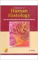 Textbook of Human Histology фото книги