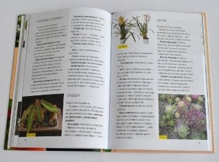 Все о комнатных растениях фото книги 4