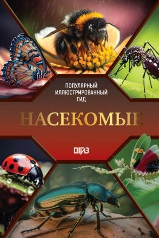 Насекомые. Иллюстрированный гид фото книги
