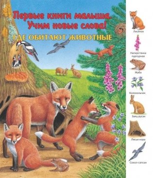 Где обитают животные фото книги