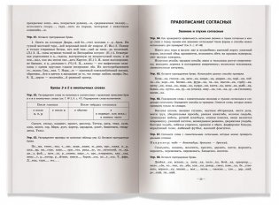 Практикум по русскому языку. Орфография и пунктуация фото книги 4