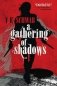 Gathering of Shadows фото книги маленькое 2