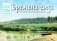 Времена года в картинах русских художников: Лето: Православный календарь на 2026 год (перекидной) фото книги маленькое 2