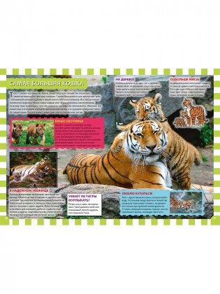 Детеныши животных фото книги 7