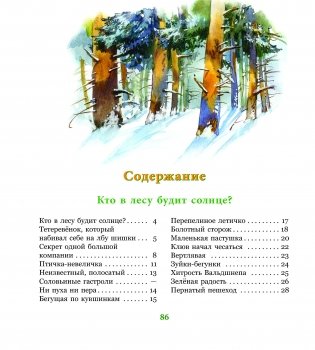 Сказки Большого Леса фото книги 4