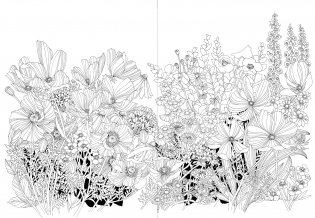 Leila Duly's Beautiful Planet: An Intricate Coloring Book фото книги 3
