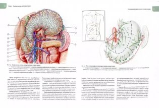 Атлас операций при злокачественных опухолях пищевода и желудка фото книги 2