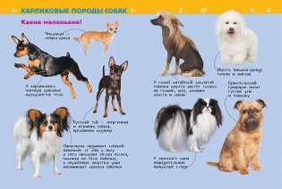 Собаки и щенки. Энциклопедия для детского сада фото книги 4
