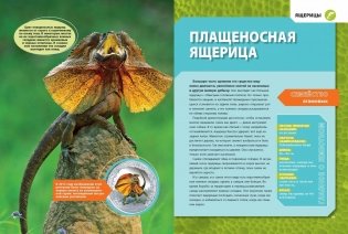 Большая энциклопедия рептилий фото книги 4