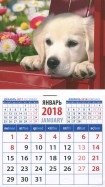 Календарь магнитный на 2018 год "Год собаки. Голден ретривер" фото книги