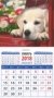 Календарь магнитный на 2018 год "Год собаки. Голден ретривер" фото книги маленькое 2
