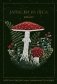 Записки из леса. Пространство для мыслей, идей и важных мелочей. Блокнот (64 л.) фото книги маленькое 2