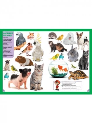 Животные. Для детей от 3 до 6 лет фото книги 8