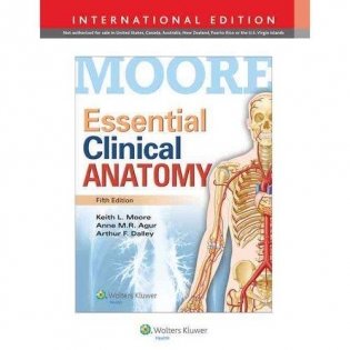 Essential Clinical Anatomy фото книги