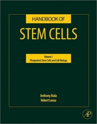 Handbook of Stem Cells, vol.1-2 фото книги