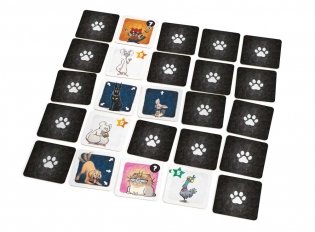 Карманные кошки фото книги 5