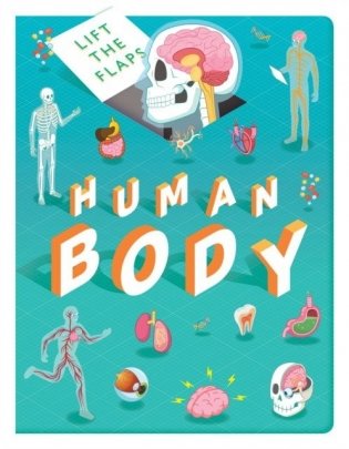 Lift The Flaps: Human Body. Board Book фото книги
