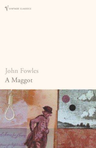 A Maggot фото книги