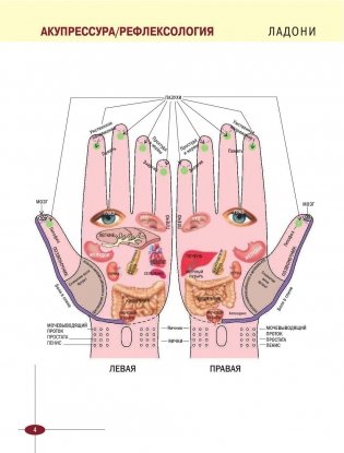 Акупрессура фото книги 5