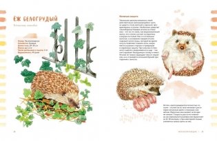 Животные в городе. Где найти и как узнать фото книги 4