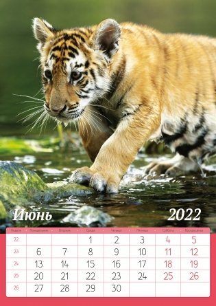 Календарь настенный перекидной "Символ года 1. Маркет" на 2022 год фото книги 2