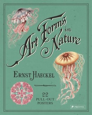 Art Forms in Nature. 22 Pull-Out Posters фото книги