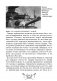 Летопись далёкой войны. Рассказы для детей о Русско-японской войне фото книги маленькое 9