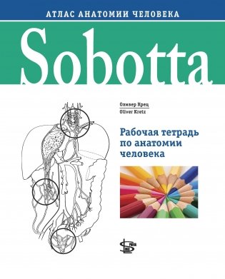 Sobotta. Рабочая тетрадь по анатомии человека фото книги