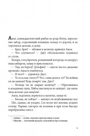 Брат мой Бзоу фото книги 7