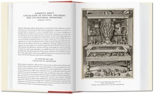 Albertus Seba. Cabinet of Natural Curiosities фото книги 3