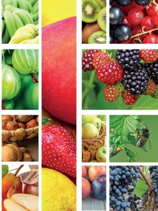 Эти невероятные плоды. Плодово-ягодные и орехоплодные культуры фото книги 2