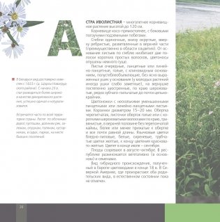 Растения-агрессоры. Инвазионные виды на территории Беларуси фото книги 3