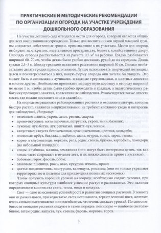 Примерное планирование нерегламентированной деятельности с воспитанниками на огороде учреждения дошкольного образования. Старшая группа 5-7 лет фото книги 4
