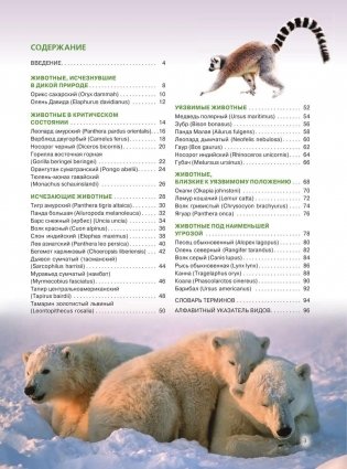 Красная книга. Животные мира фото книги 4