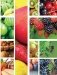 Эти невероятные плоды. Плодово-ягодные и орехоплодные культуры фото книги маленькое 3