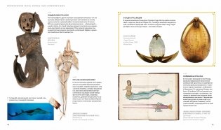 Фантастические твари. Природа чудес волшебного мира фото книги 8