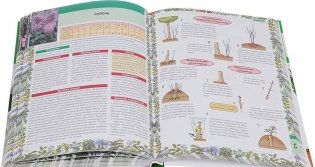 Самая нужная книга о комнатных растениях фото книги 5
