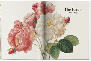 Redoute: The Book of Flowers XL фото книги 4