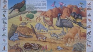 Животные и растения пустыни фото книги 3