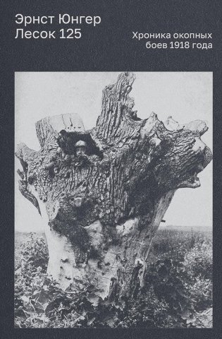 Лесок 125. Хроника окопных боев 1918 фото книги