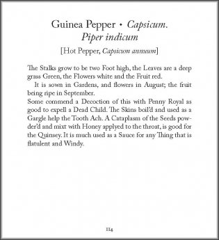 Healing Plants: From Elizabeth Blackwell's Curious Herbal (Tiny Folio) фото книги 5