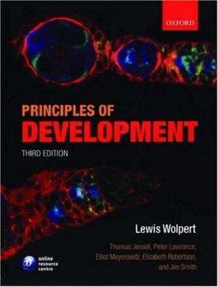 Principles of Development фото книги